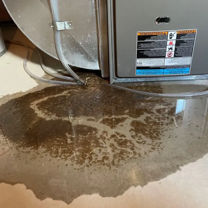 Pipe Burst and Leak Restoration in Statesville, NC